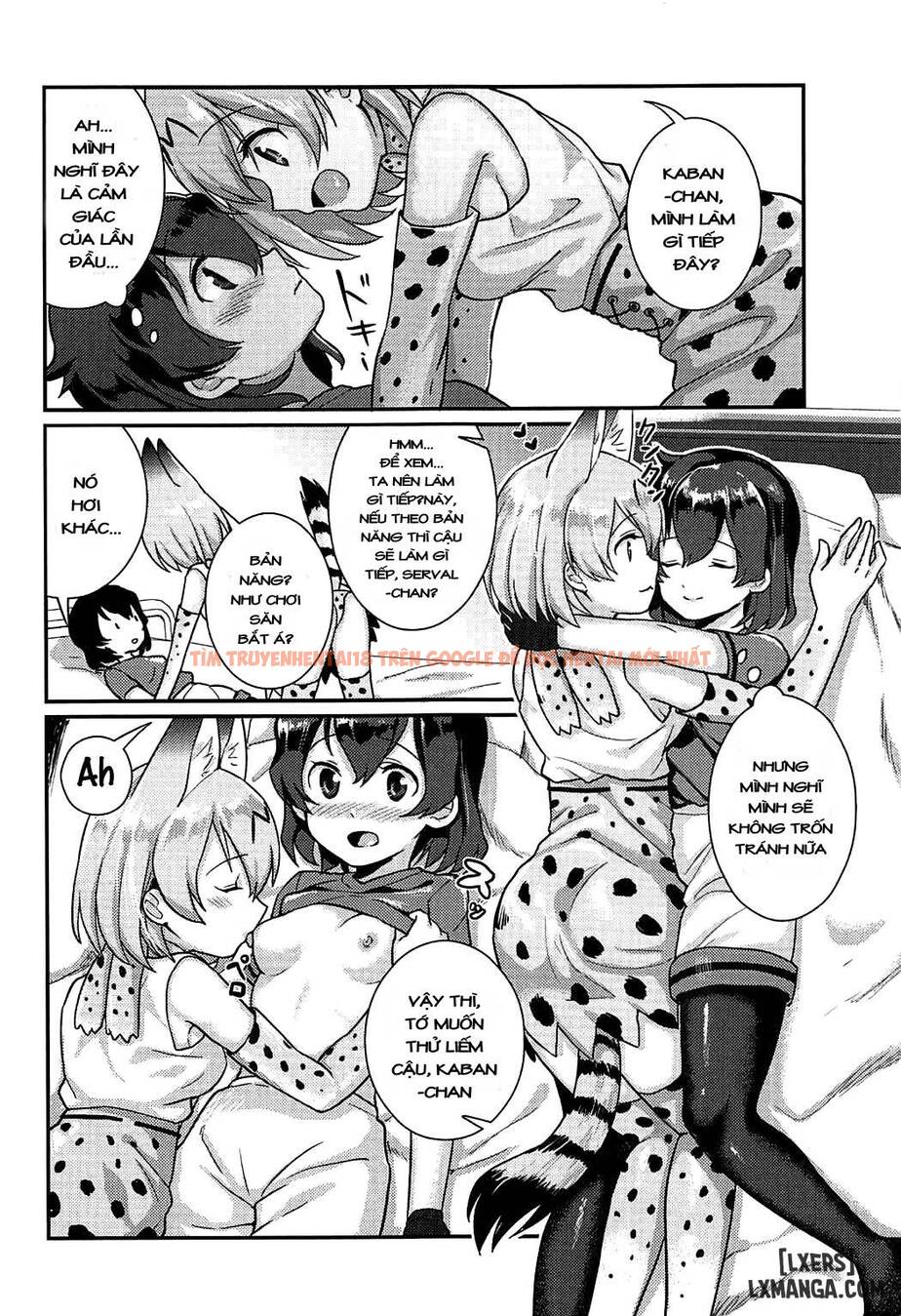 Xem ảnh 5 trong truyện hentai Daisuki Ni Kimatteru - One Shot - hentaitvn.net