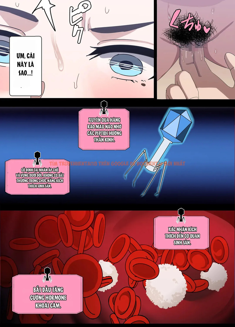 Xem ảnh page_007 trong truyện hentai Đạo Luật Biến Vợ Người Thành Lỗ Chịch - Chapter 2 - hentaitvn.net