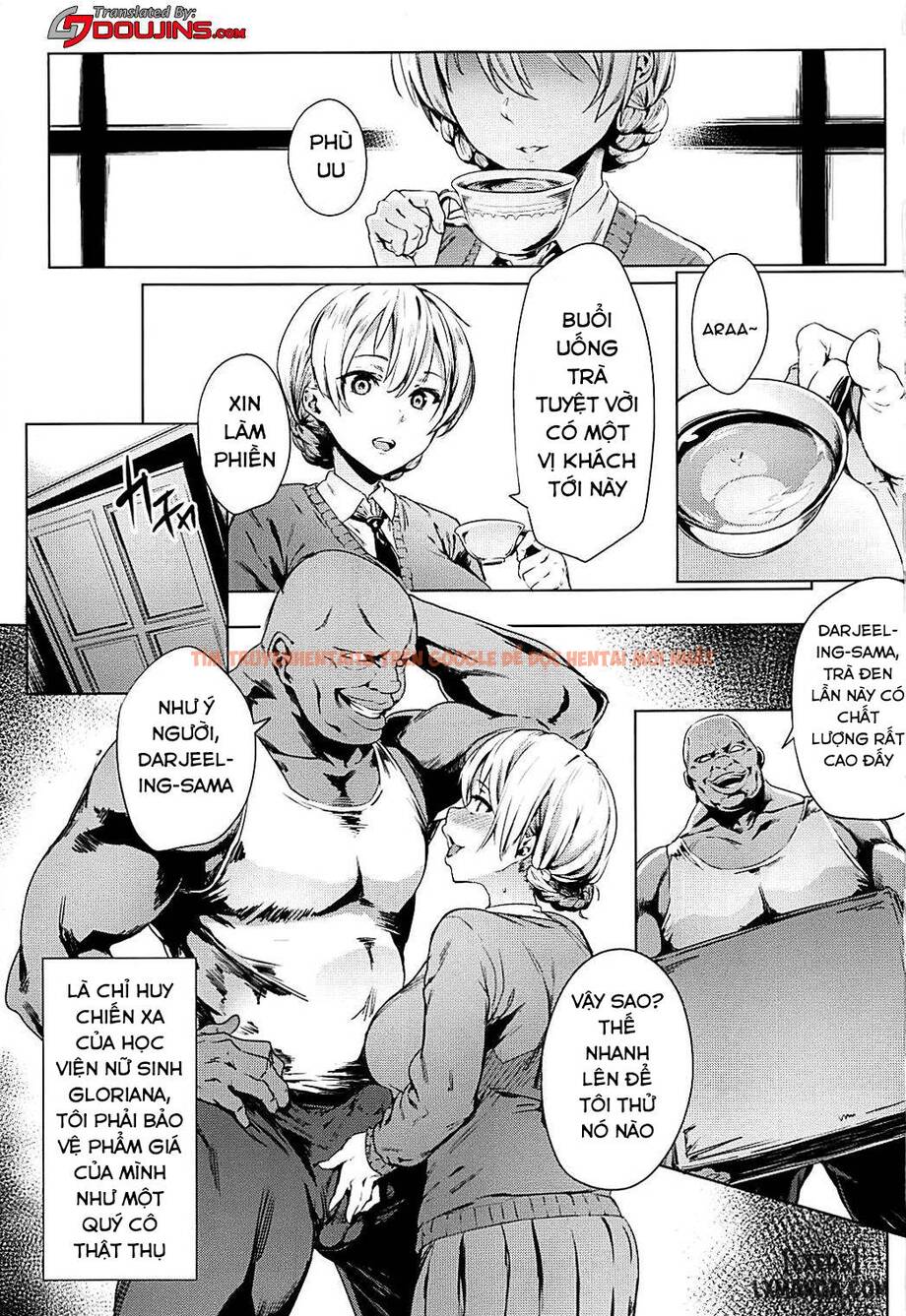 Xem ảnh 1 trong truyện hentai Darjeeling's Secret Tea Party - One Shot - hentaitvn.net