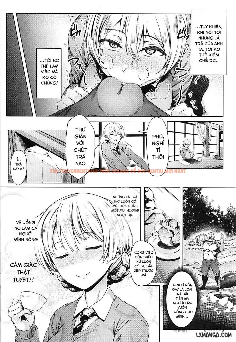 Xem ảnh 2 trong truyện hentai Darjeeling's Secret Tea Party - One Shot - hentaitvn.net