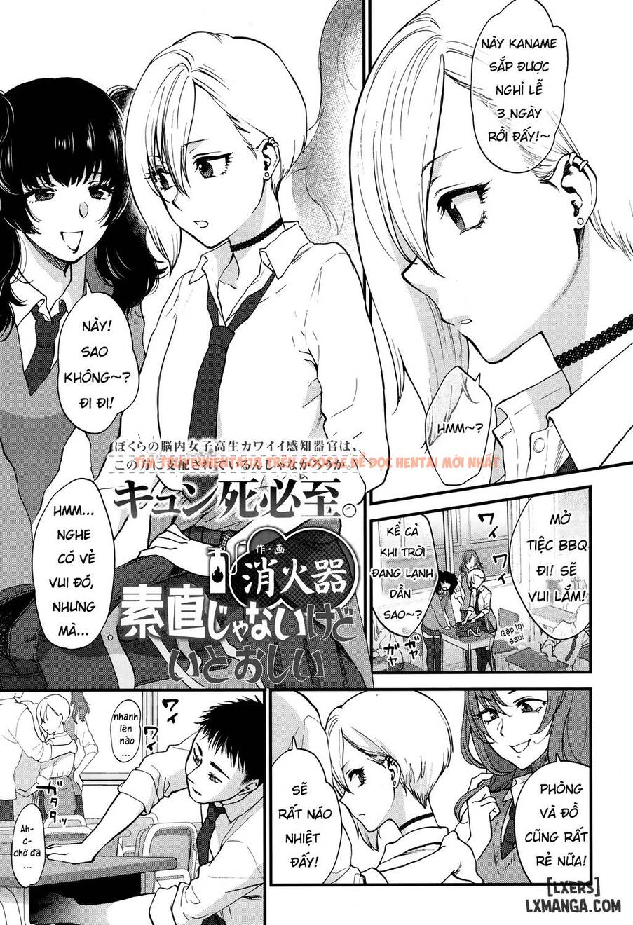 Xem ảnh 0 trong truyện hentai Dishonest But Lovely - One Shot - hentaitvn.net