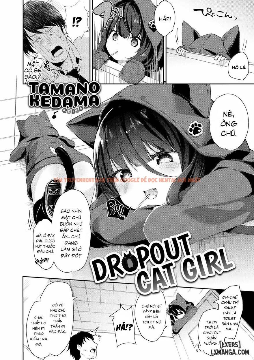 Trang truyện 1 trong truyện tranh Dropout Cat Girl - One Shot - truyentvn.net