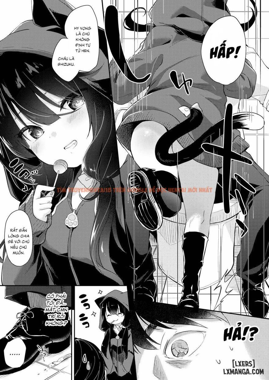 Trang truyện 2 trong truyện tranh Dropout Cat Girl - One Shot - truyentvn.net