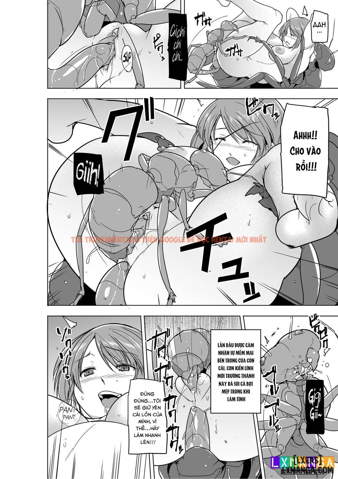 Xem ảnh 25 trong truyện hentai Dungeon Travelers - Futari No Himegoto Badend - One Shot. - www.hentaitvn.net