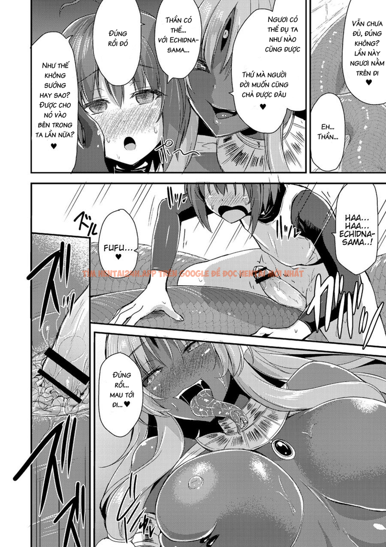 Xem ảnh Echidna-sama Giết Thời Gian - Chapter 3 - 16 - Truyenhentaiz.net