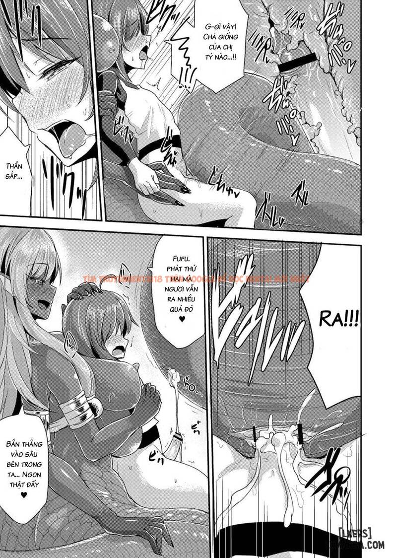 Trang truyện 14 trong truyện tranh Echidna-sama Is Killing Time - Chapter 3 - www.truyentvn.net