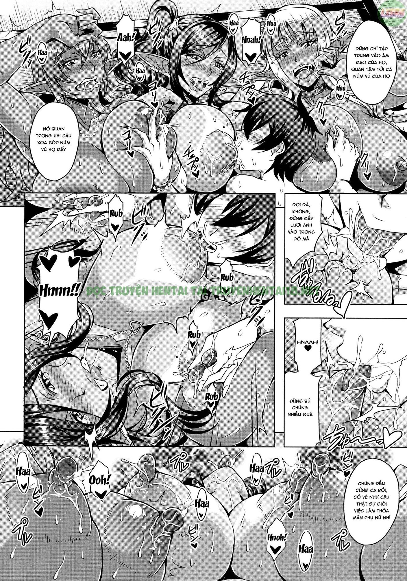 Hình ảnh 12 trong Elf Harem Story - Chapter 5 END - Hentaimanhwa.net