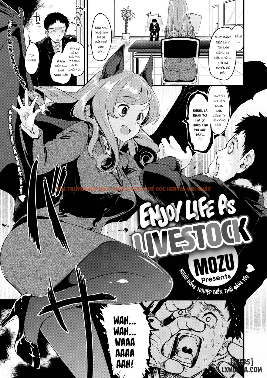 Xem ảnh 0 trong truyện hentai Enjoy Life As Livestock - One Shot - hentaitvn.net