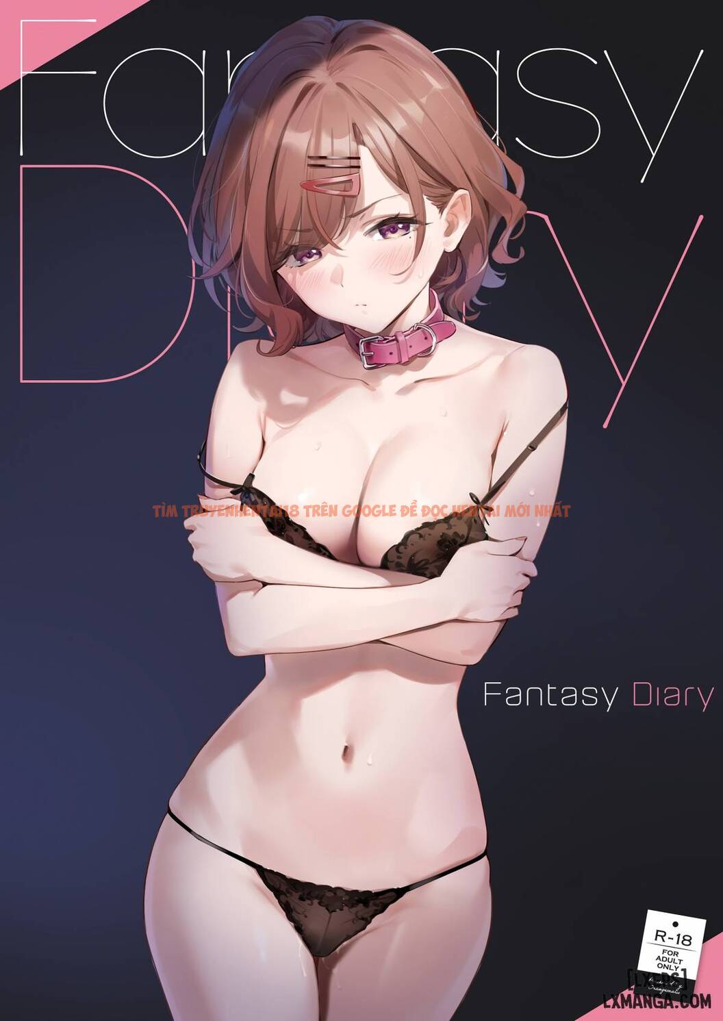 Xem ảnh 0 trong truyện hentai FANTASY DIARY - One Shot - hentaitvn.net