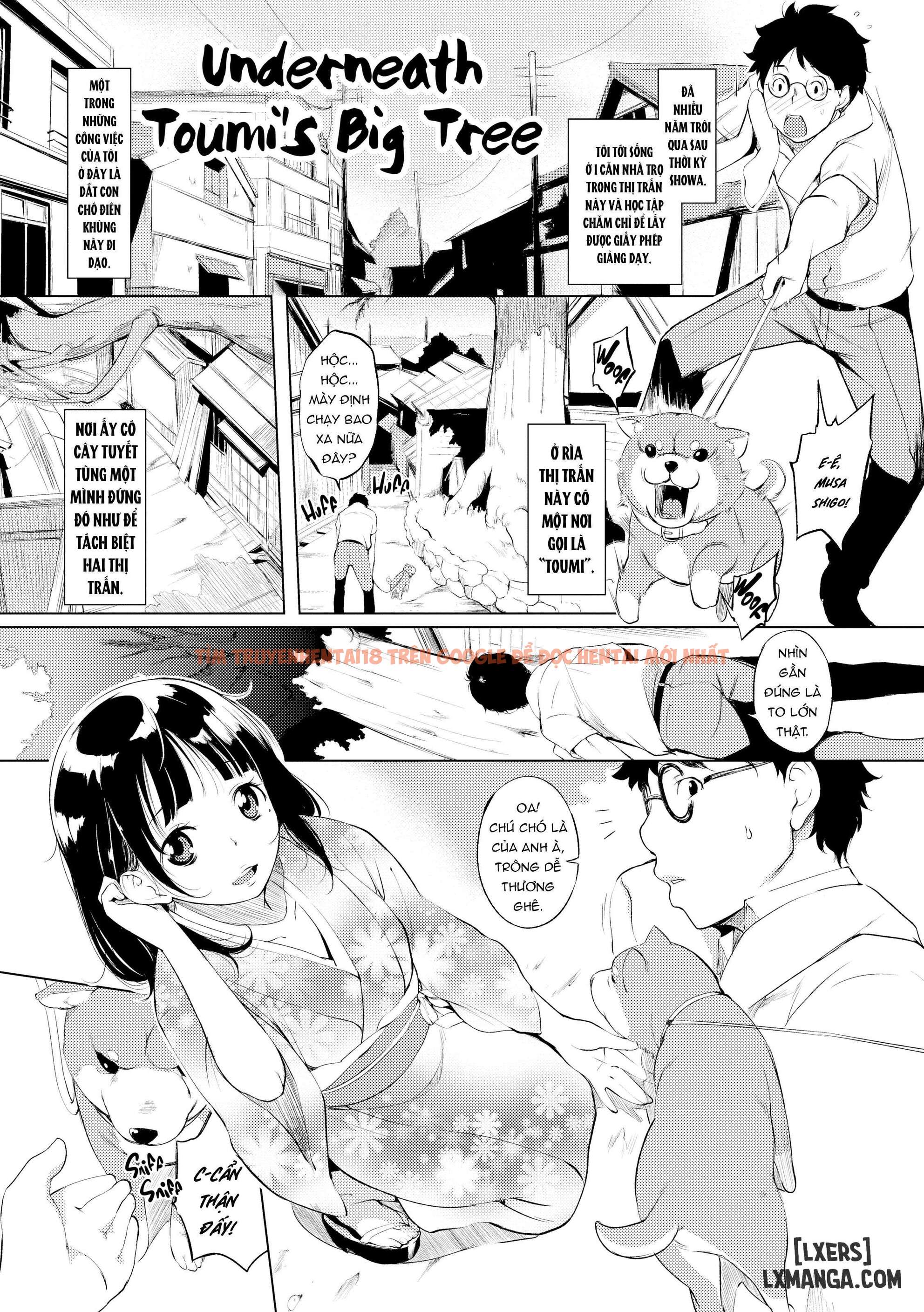 Xem ảnh 1 68e4b6d5ddc04 trong truyện hentai Fleeting Beauties - Underneath Toumi's Big Tree - www.hentaitvn.net
