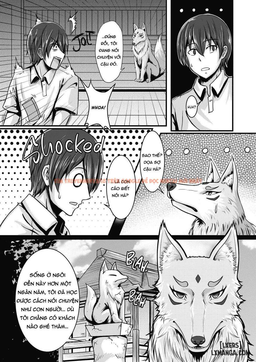 Xem ảnh 4 697c193038fad trong truyện hentai Fox Bride - One Shot - www.hentaitvn.net
