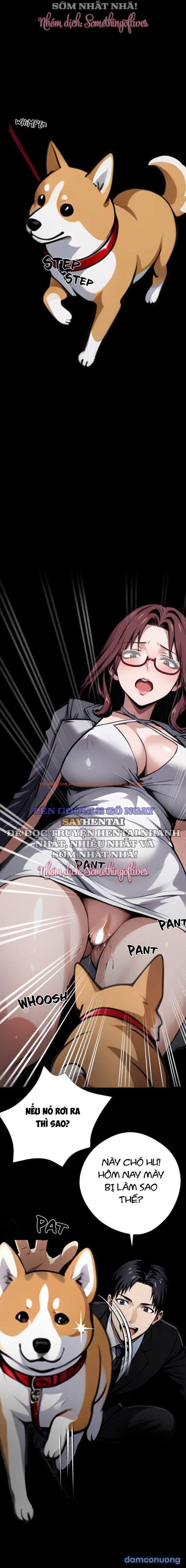 Xem ảnh 14 trong truyện hentai Gái Gú Xã Hội Đen - Chapter 68 - hentaitvn.net Xem ảnh 14 trong truyện hentai Gái Gú Xã Hội Đen - Chapter 68 - hentaitvn.net