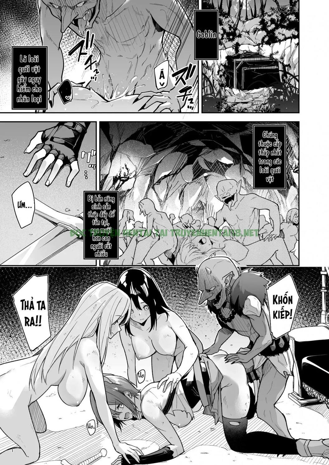 Xem ảnh 3 trong truyện hentai Goblin Kara Hajimeru Sekai Seifuku - Chapter 1 - truyenhentai18.pro