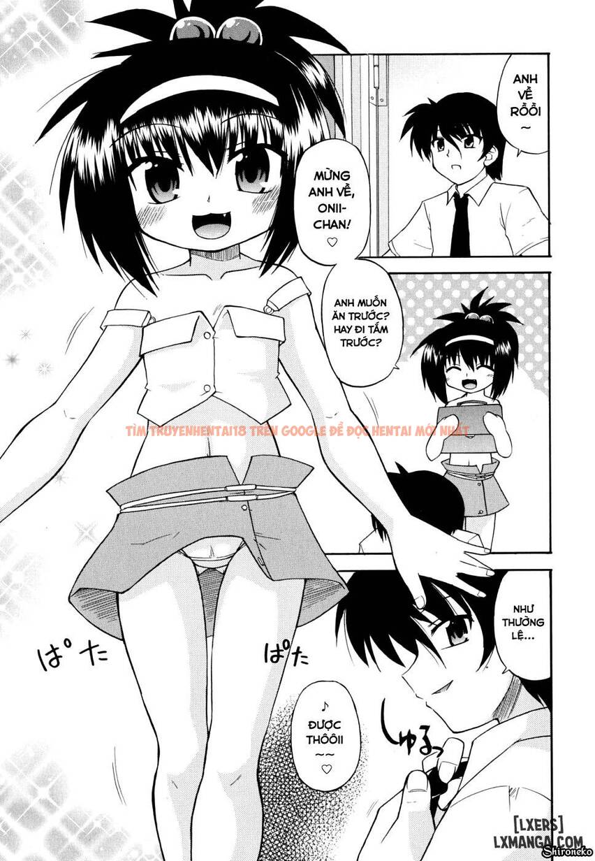 Trang truyện 0 trong truyện tranh Gohoteki Mini Size - Chapter 8 - truyentvn.net