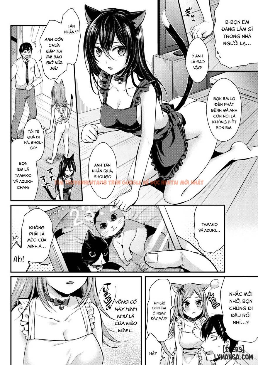 Trang truyện 1 trong truyện tranh Hajirai Honey - Chapter 3 - hentai24h.pro