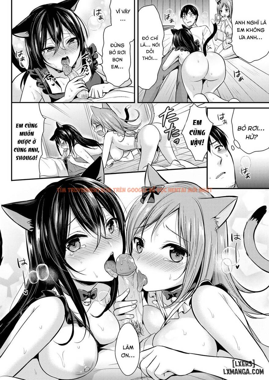 Trang truyện 8 trong truyện tranh Hajirai Honey - Chapter 3 - hentai24h.pro