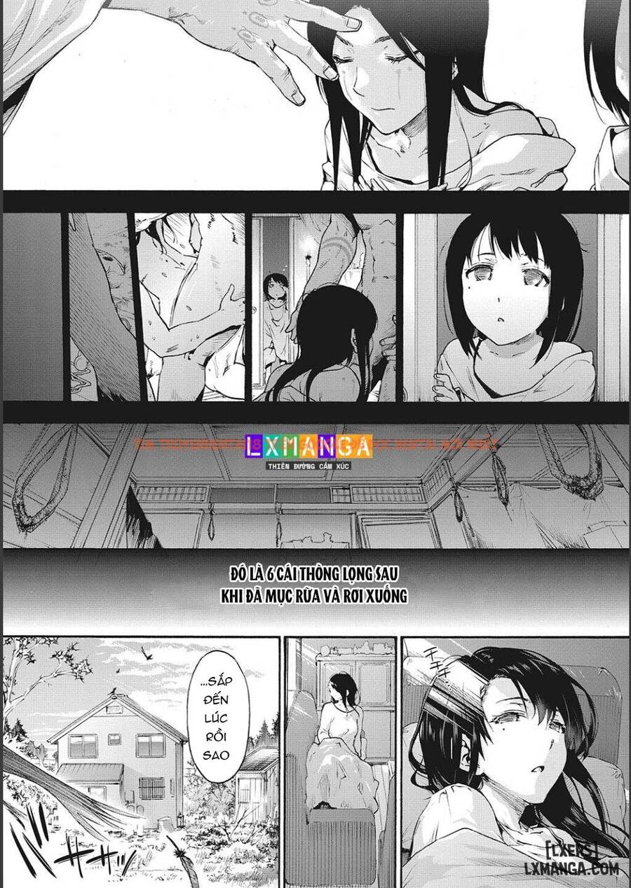 Trang truyện 3 68b7438dd3325 trong truyện tranh Harem Cult Side Cult - Chap 1. - lxmanga.org