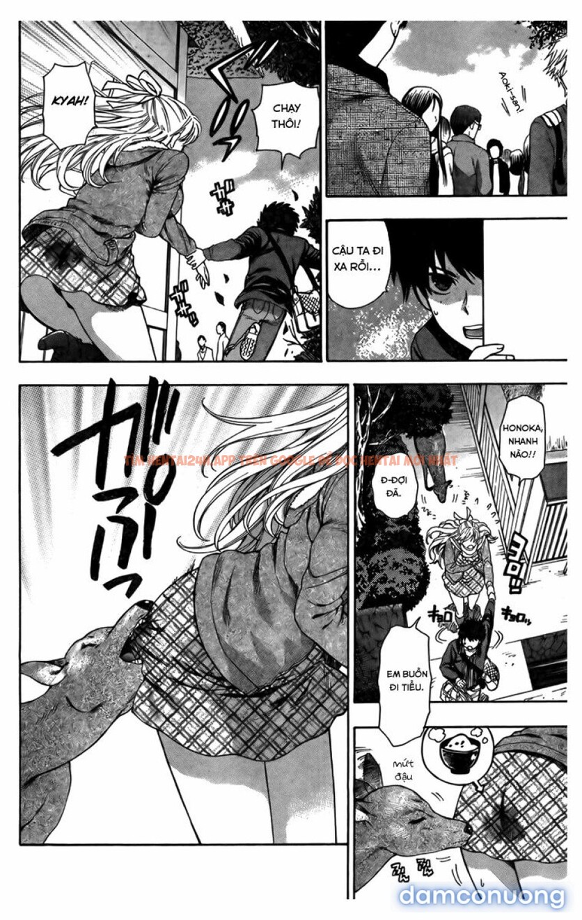 Xem ảnh Hen Koi - Nhật Kí Tan Trường [hen Koi - The After School Diary, The Secret Love At Dust] - Chapter 5 - 17 - Truyenhentaiz.net