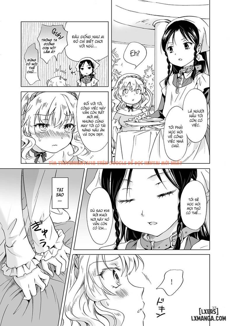 Trang truyện 35 trong truyện tranh Hime-sama To Dorei-chan - One Shot - hentai24h.pro