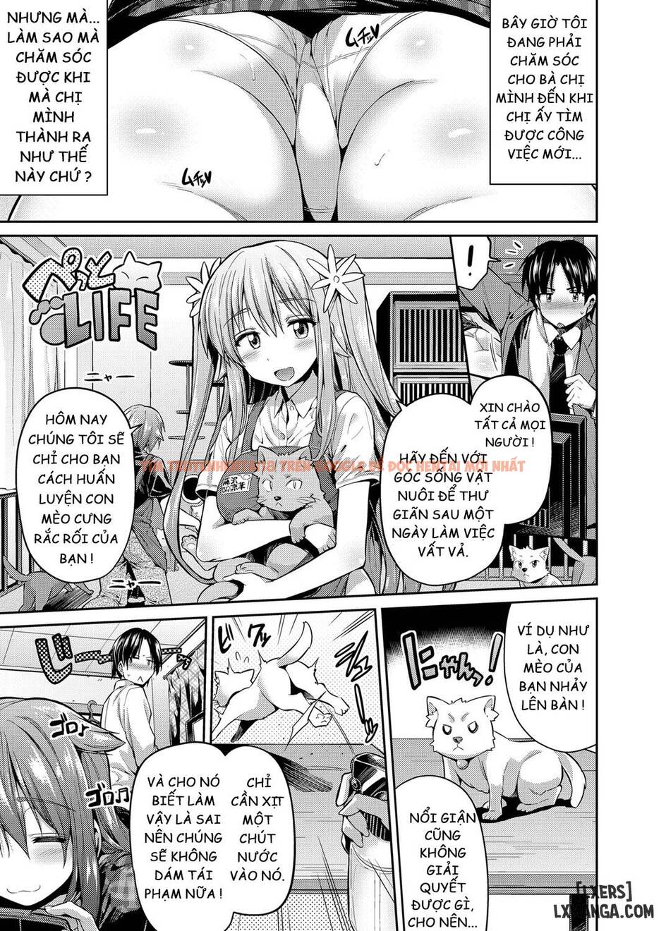 Xem ảnh 2 trong truyện hentai How To Train Your Pet Older Sister - One Shot - hentaitvn.net