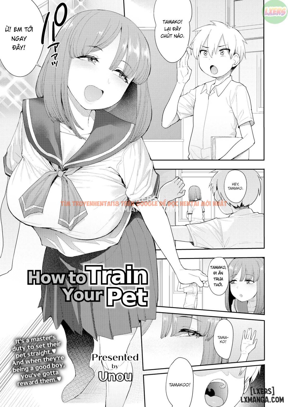 Xem ảnh 3 trong truyện hentai How To Train Your Pet - One Shot - hentaitvn.net