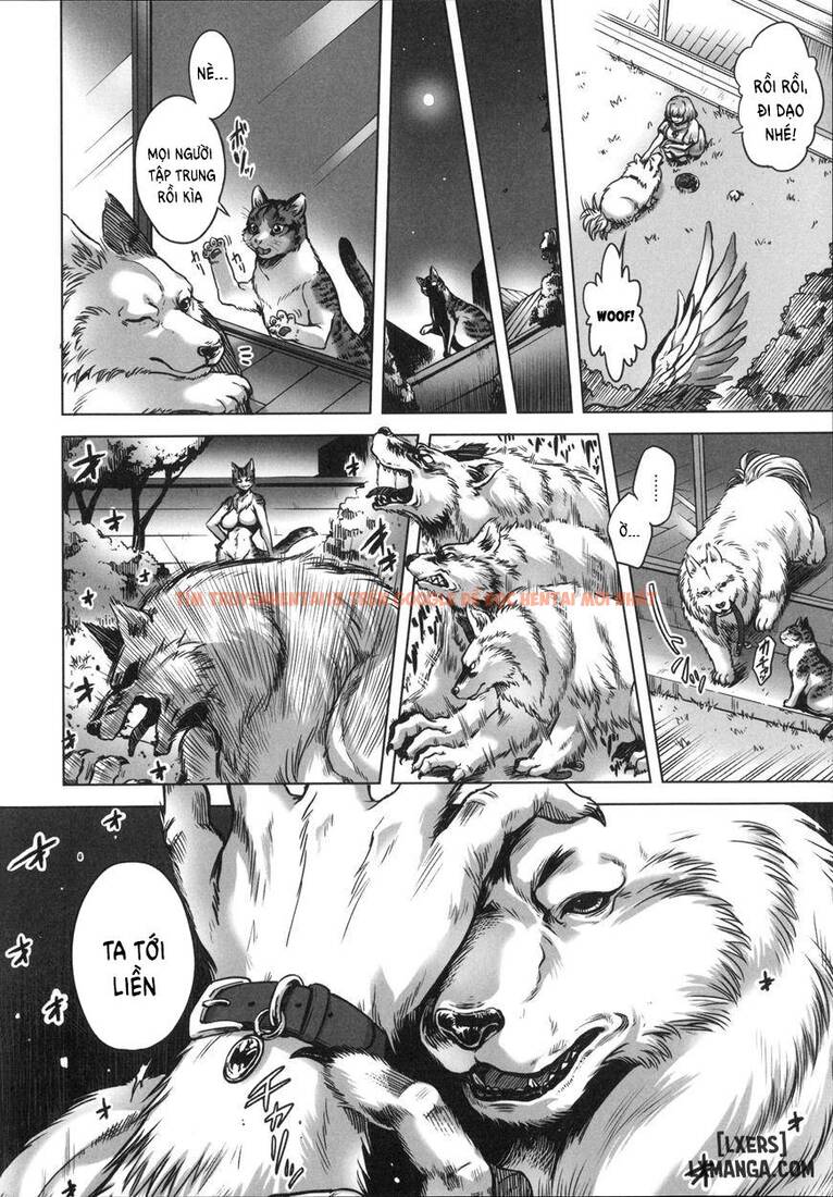 Trang truyện 14 trong truyện tranh Human-lovers Committee - Chapter 1 - hentai24h.pro