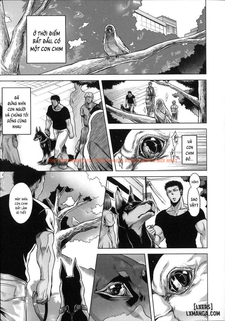 Trang truyện 0 trong truyện tranh Human-lovers Committee - Chapter 8 END - hentai24h.pro