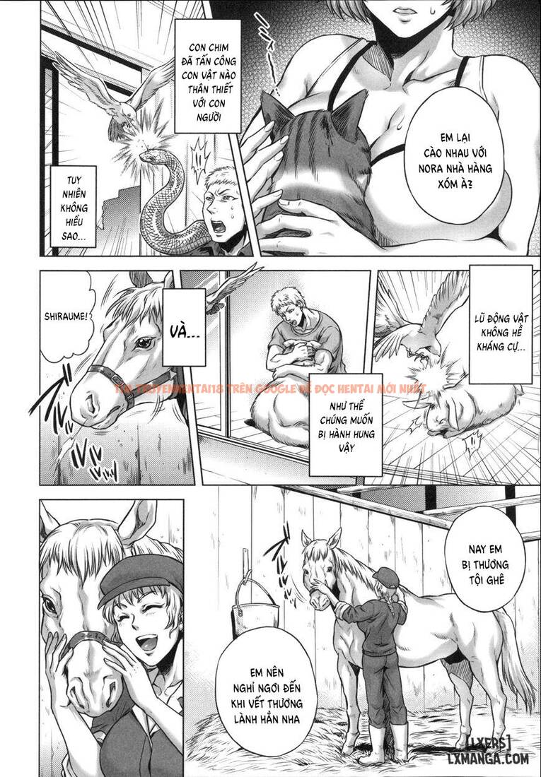 Trang truyện 3 trong truyện tranh Human-lovers Committee - Chapter 8 END - hentai24h.pro
