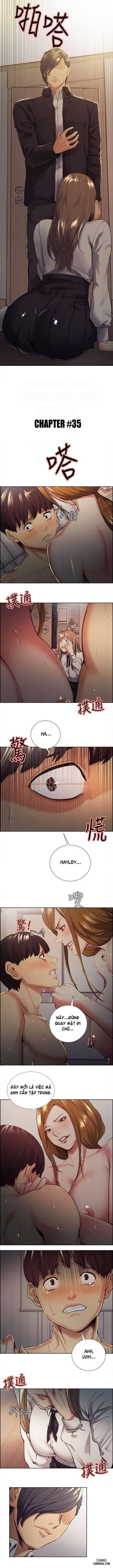 Xem ảnh Hương Vị Trái Cấm - Chapter 35 - 0 - TruyenVN.APP
