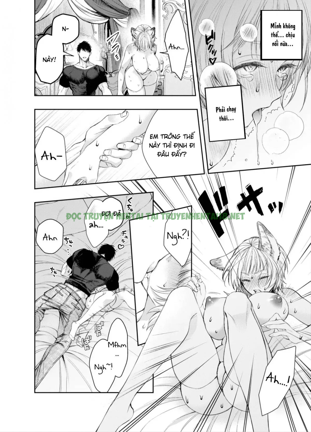 Hình ảnh 26 trong I Can't Escape From Mr. Naughty Red Riding Hood - One Shot - Hentaimanhwa.net