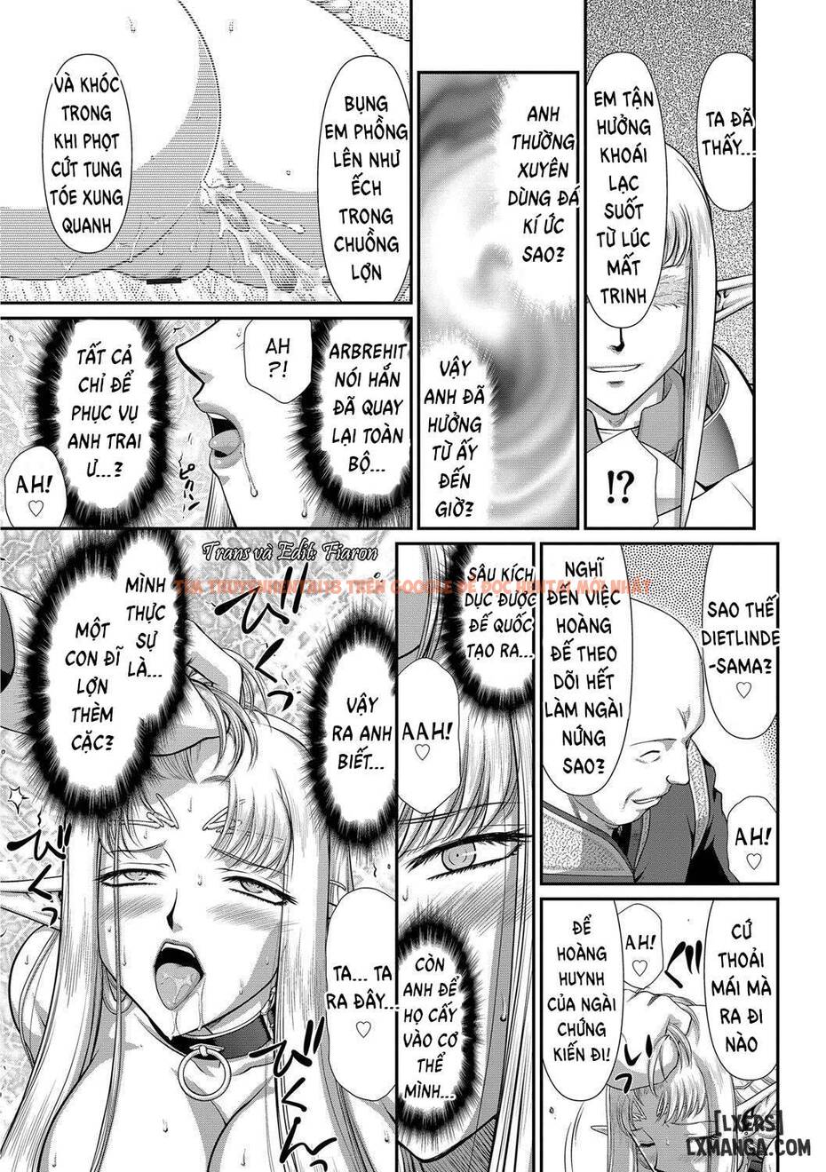 Trang truyện 8 trong truyện tranh Ingoku No Kouki Dietlinde - Chapter 9 END - truyentvn.net