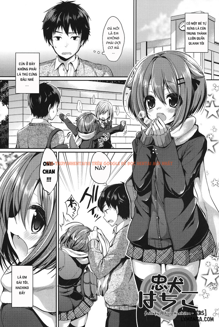 Trang truyện 0 trong truyện tranh Junai Maniac - Chapter 2 - hentai24h.pro