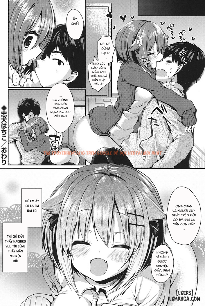 Trang truyện 19 trong truyện tranh Junai Maniac - Chapter 2 - hentai24h.pro