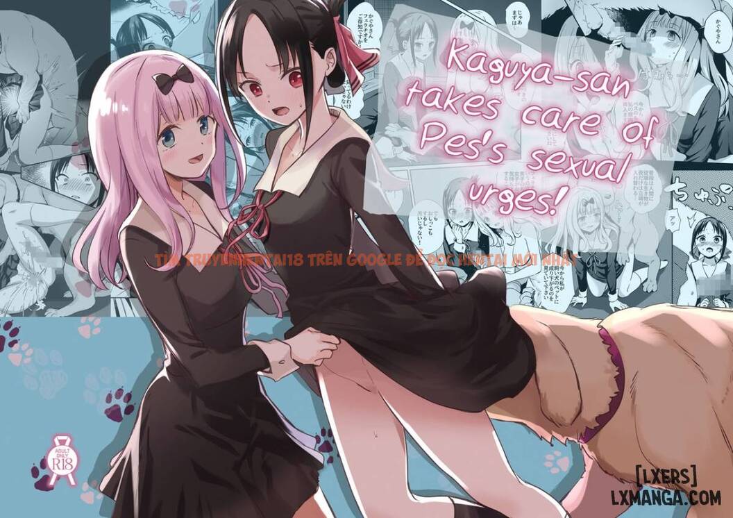 Trang truyện 0 trong truyện tranh Kaguya-san Ni Pas No Seishori Wo Tetsudatte Itadakimashita - One Shot - hentai24h.pro