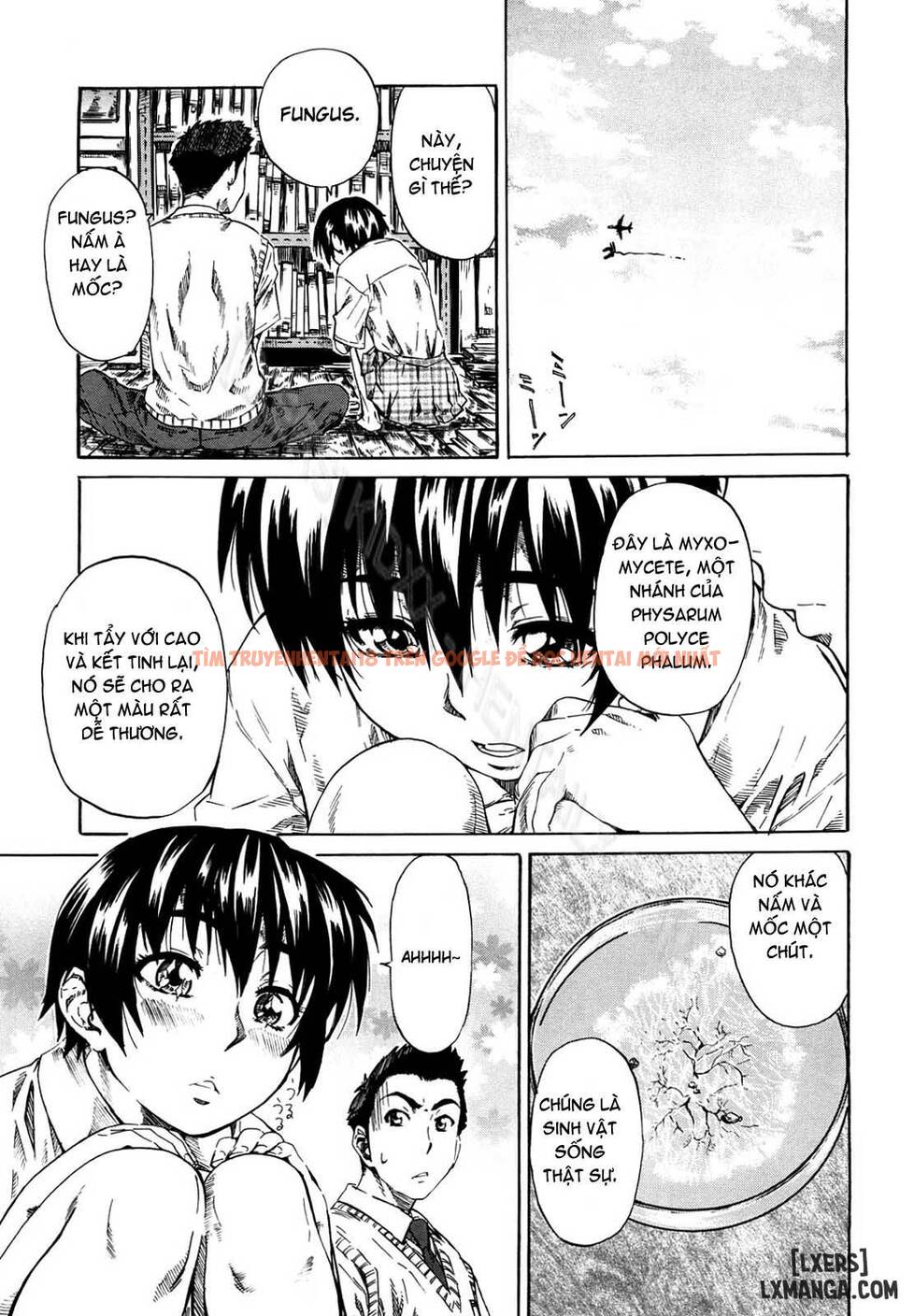 Trang truyện 2 trong truyện tranh Kanojo Ga Kimi O Suki Ni Natta Wake - Chap 3 - lxmanga.org