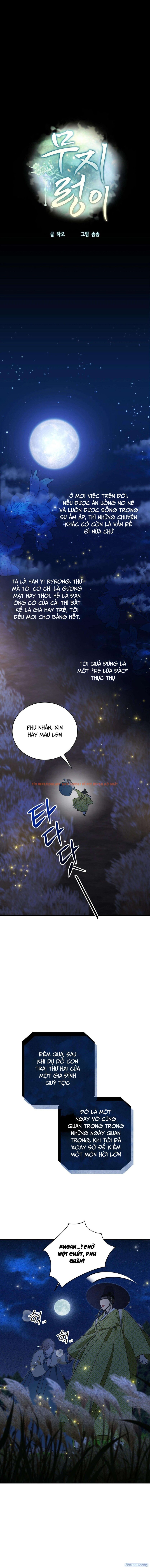 Xem ảnh Kẻ Ngu Dốt - Chapter 1 - 5 - Truyenhentaiz.net