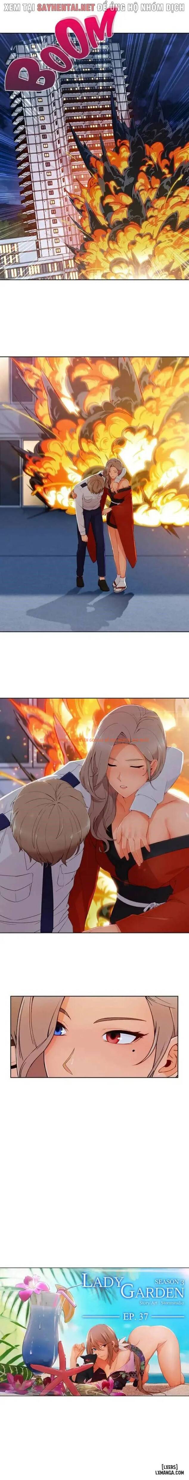 Trang truyện 3 trong truyện tranh Khu Vườn Hoang Lạc - Chapter 80 END - hentai24h.pro