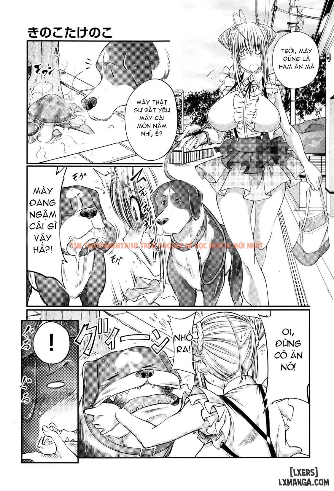 Xem ảnh Kinoko Takenoko Mushroom Bamboo Shoot - One Shot - 2 68d38e5f6e2c4 - HentaiTruyen.fun