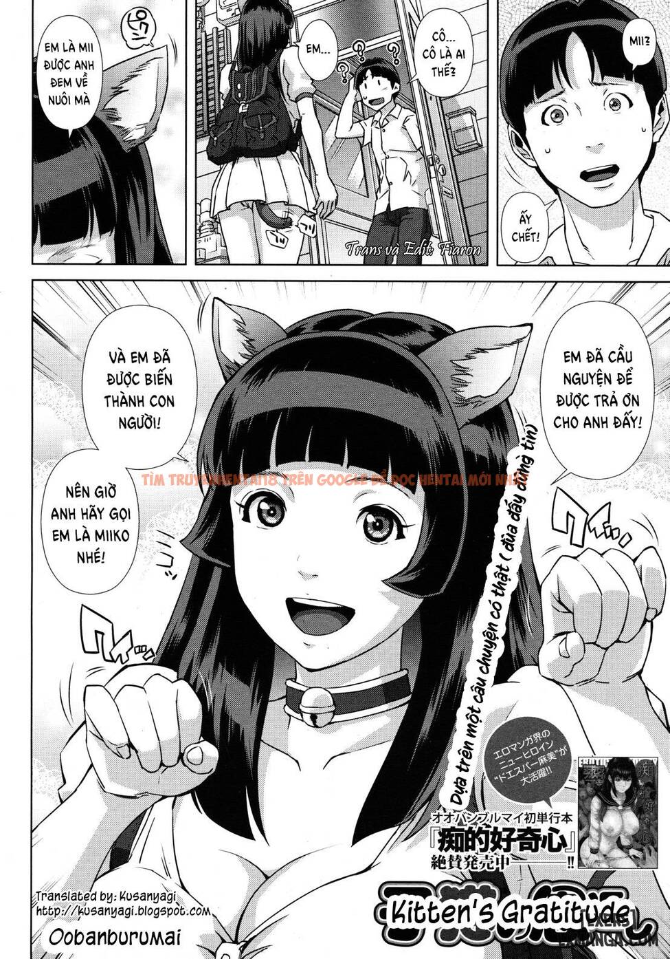 Xem ảnh 1 trong truyện hentai Lời Cảm Ơn Từ Mèo Con - One Shot - hentaitvn.net