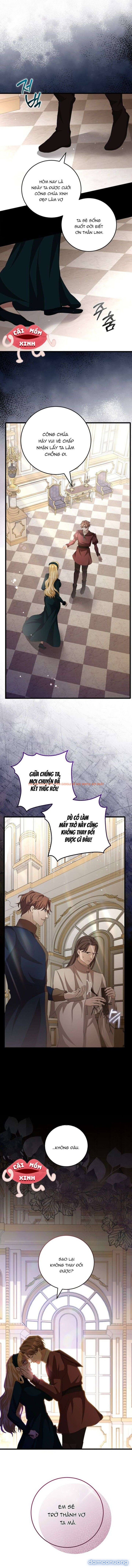 Xem ảnh Lời Cầu Hôn Mông Muội - Chapter 10 - 11 - Truyenhentaiz.net