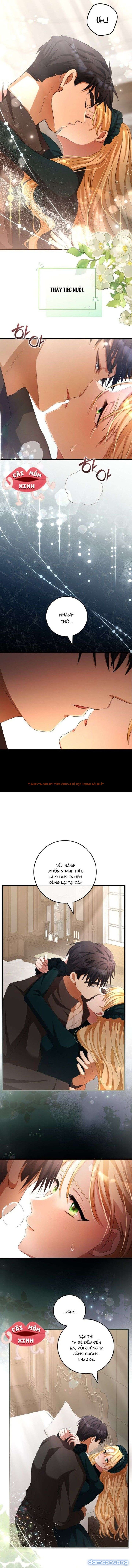 Xem ảnh Lời Cầu Hôn Mông Muội - Chapter 14 - 5 - Truyenhentaiz.net