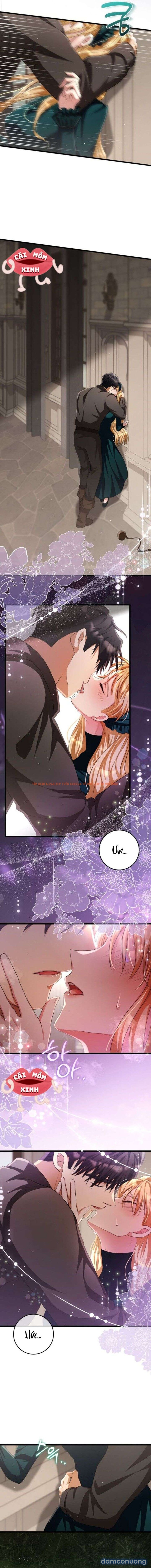 Xem ảnh Lời Cầu Hôn Mông Muội - Chapter 17 - 6 - Truyenhentaiz.net