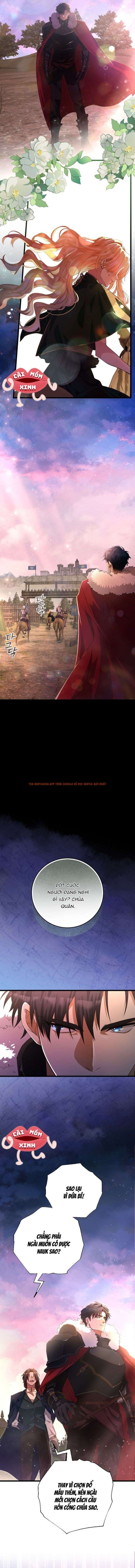 Xem ảnh 6 trong truyện hentai Lời Cầu Hôn Mông Muội - Chapter 2 - www.hentaitvn.net