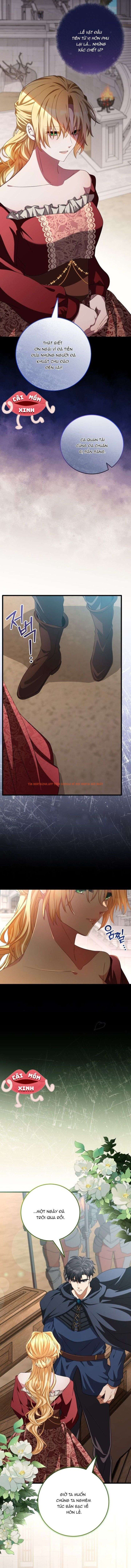 Xem ảnh 2 trong truyện hentai Lời Cầu Hôn Mông Muội - Chapter 3 - www.hentaitvn.net