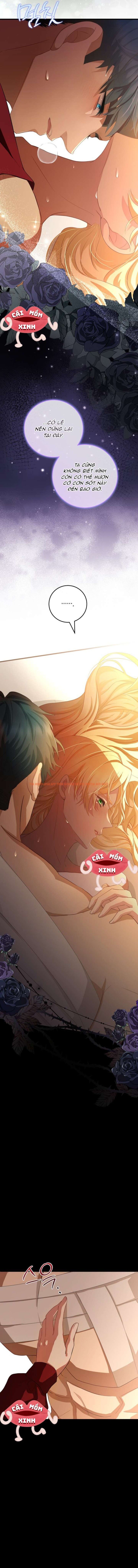 Xem ảnh 13 trong truyện hentai Lời Cầu Hôn Mông Muội - Chapter 5 - www.hentaitvn.net