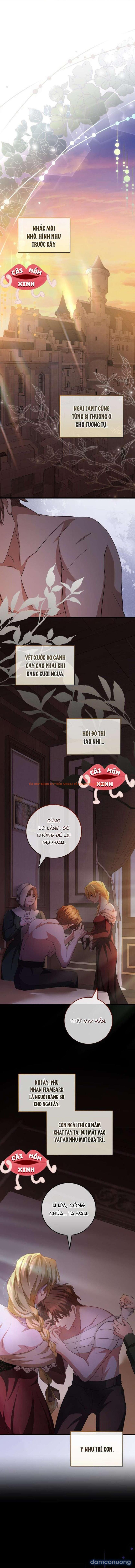 Xem ảnh 1 trong truyện hentai Lời Cầu Hôn Mông Muội - Chapter 8 - www.hentaitvn.net