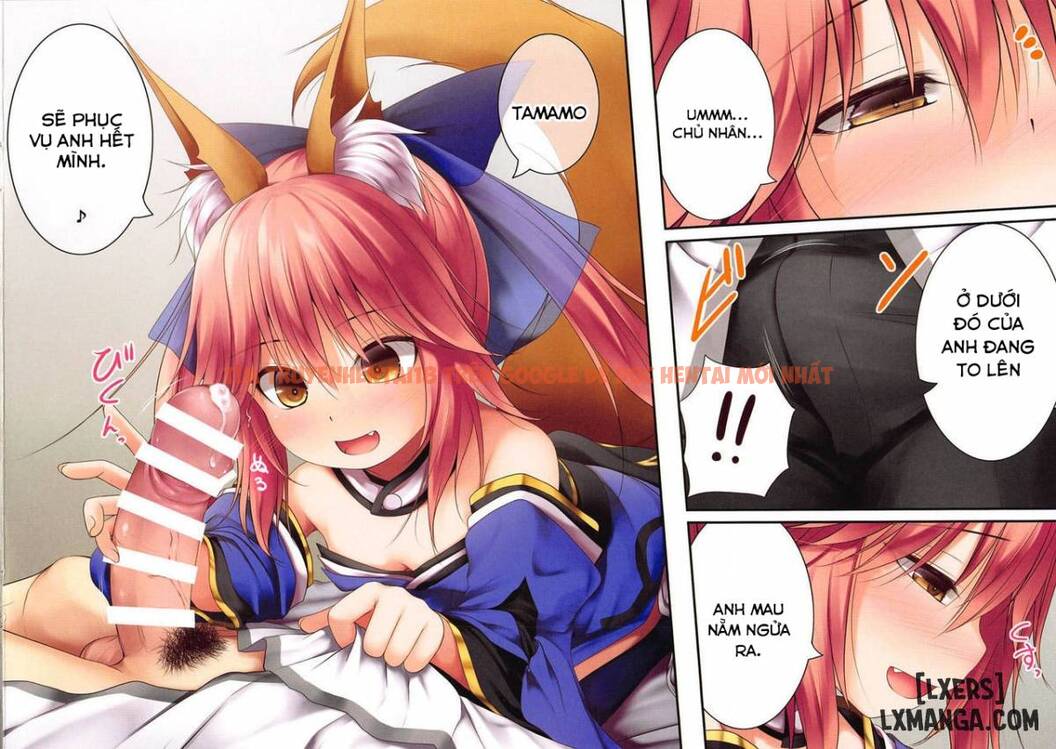 Xem ảnh Lolikkitsune Tamamo-chan - One Shot - 17 - HentaiTruyen.fun
