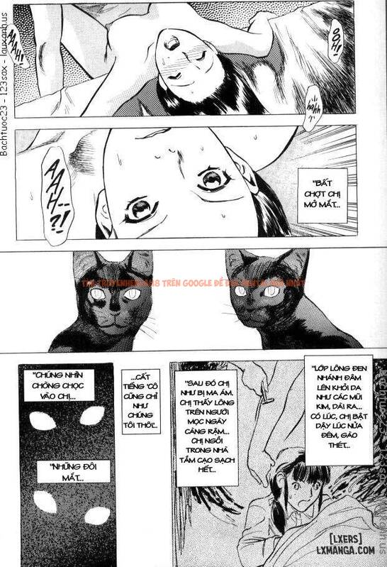 Xem ảnh 19 trong truyện hentai Lust - Chapter 9 END - hentaitvn.net