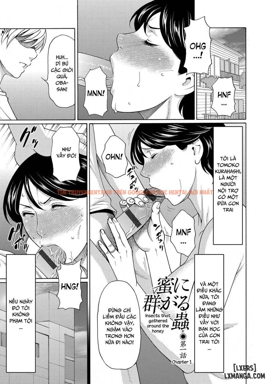 Trang truyện 14 trong truyện tranh Mitsu Ni Muragaru Mushi - Chapter 1 - hentai24h.pro