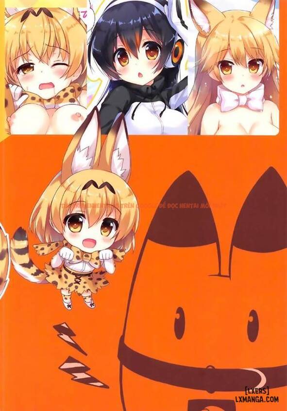 Xem ảnh 13 trong truyện hentai Mofu Mofu Friends - One Shot - hentaitvn.net